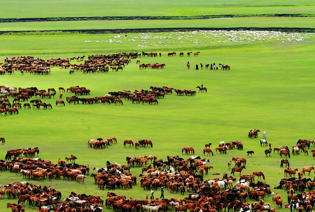 内蒙古和蒙古国的区别(内蒙古和蒙古国的区别是一体的吗)-图5