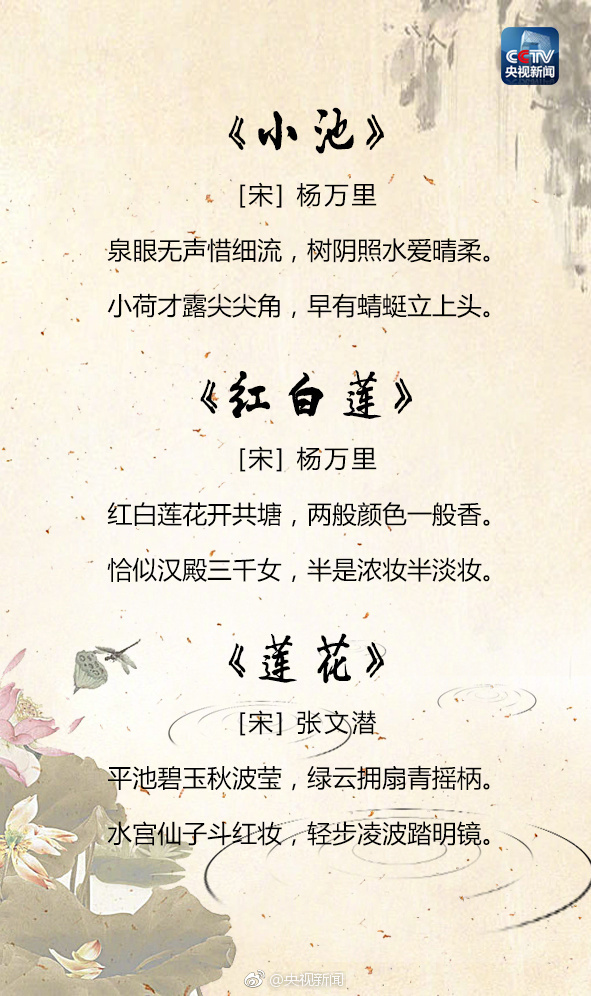 重读这25首吟咏夏天的古诗词，传承经典！