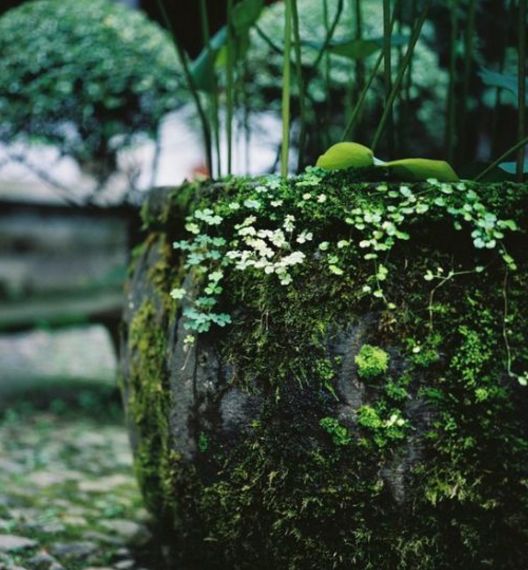 「诗词鉴赏」午睡昏昏不肯醒—关于午睡的那些优美诗词！