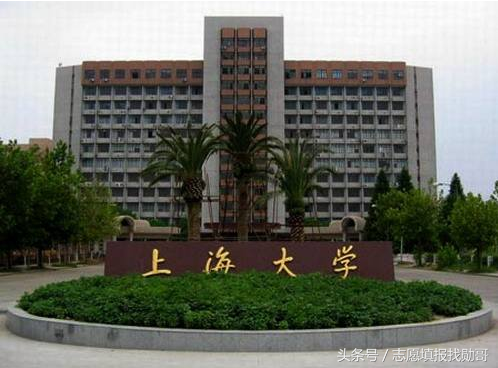 数据盘点：上海大学高考录取投档线及位次，勋哥高考志愿填报数据