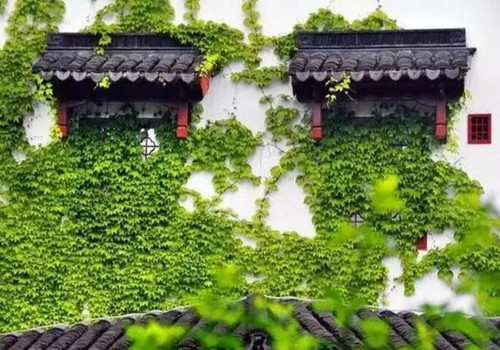 写作素材必备：描写夏天的好词好句好段（转发收藏吧！）