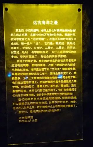 小大使实践报告：关于水母，那些你不知道的事