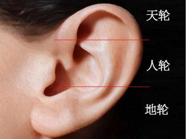 耳朵有仓窝图解_耳朵上有附耳相学说法_耳朵相学图解有痔