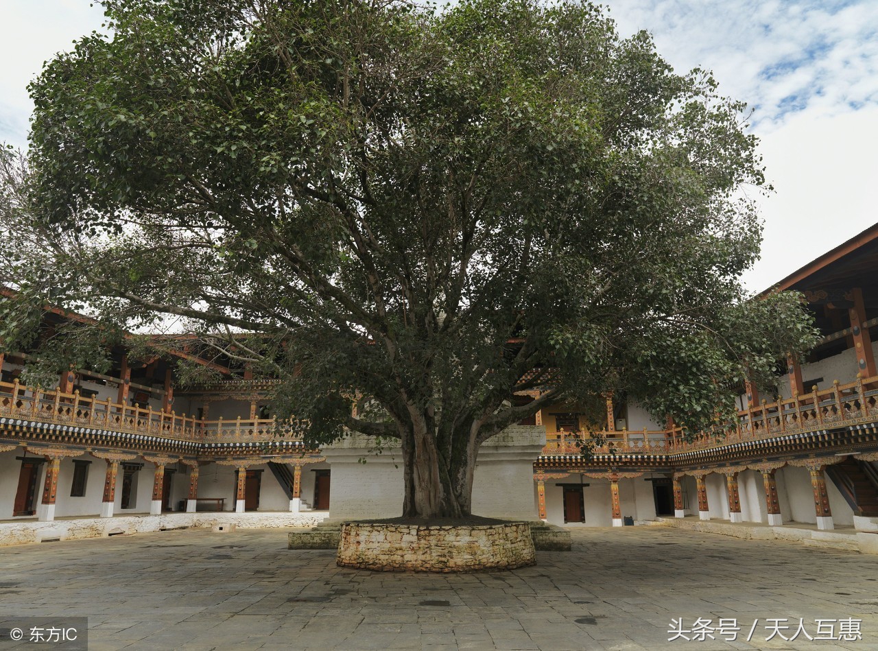 风水寻龙口诀点穴龙脉阴宅宝地难懂难会，阳宅这里布局影响你的胃！