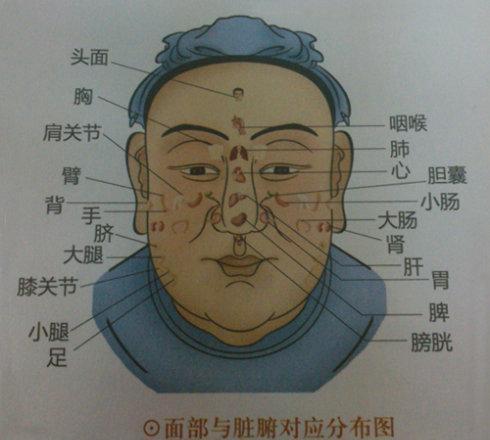 「下期」五脏好不好,看五官就知道!