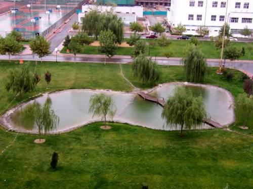 走进名校84：对外经济贸易大学