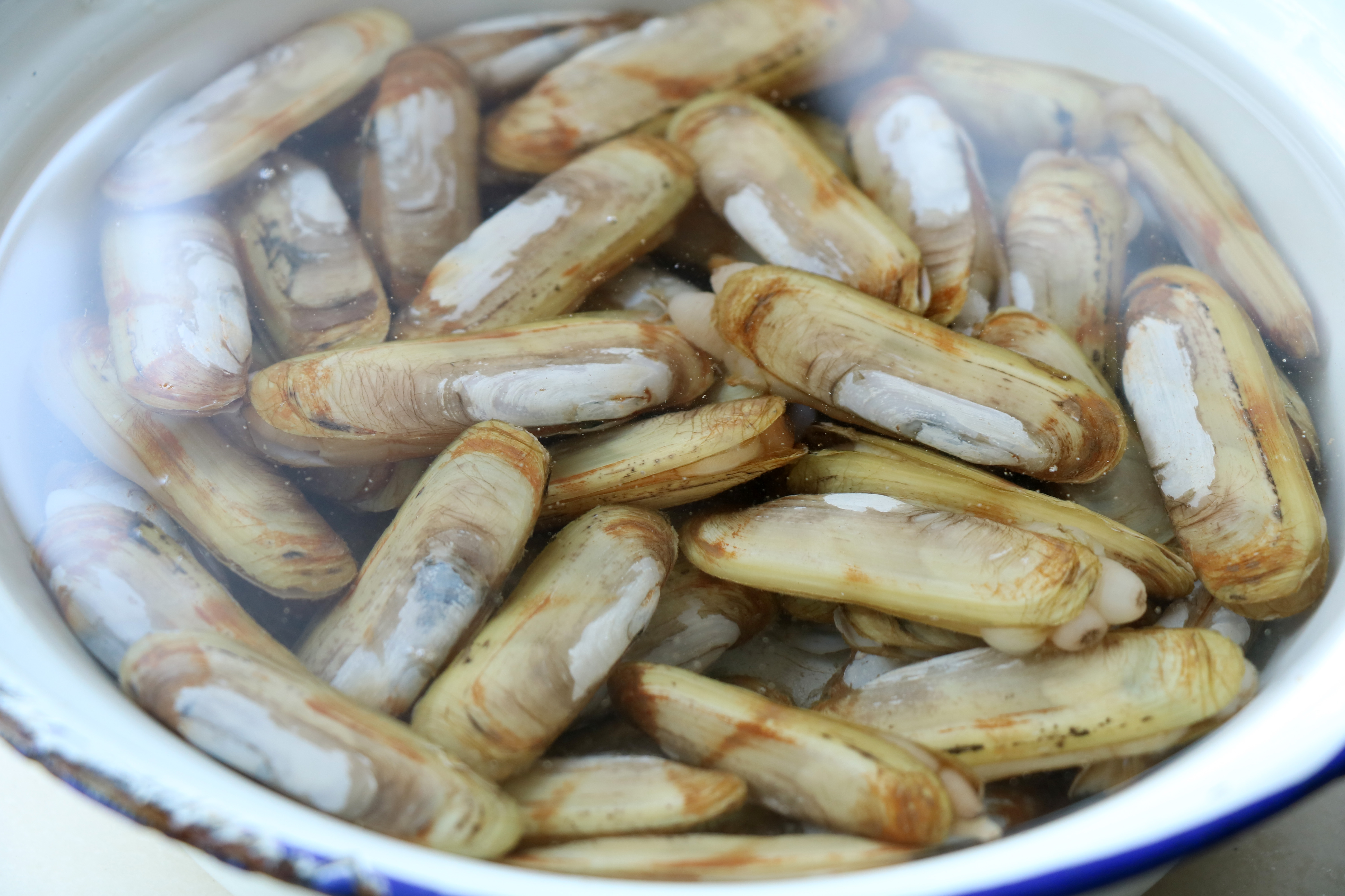 尤其高考的孩子，这菜要多吃，一盘才19元，益智补脑堪比鲍鱼海参