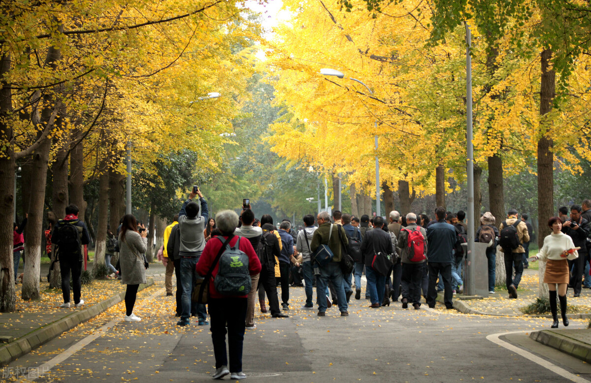 学院为何热衷于更名为“大学”？盘点那些你所不知道的换名字历史