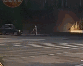 新手开车实用干货，15条实战精选安全驾驶知识