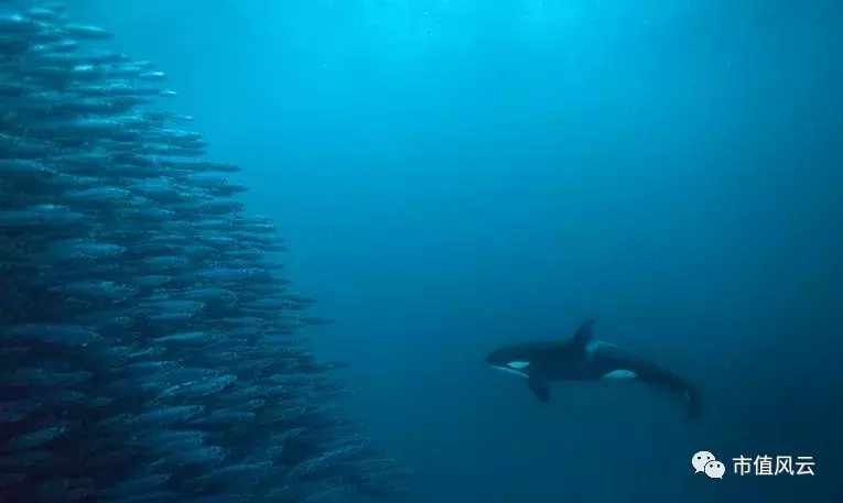 CEO学历造假、虚增利润、隐藏存货,新秀丽遭沽空,股价大跌10%