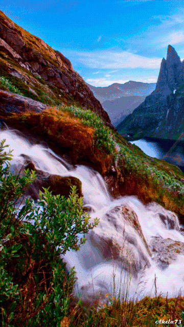 360_640竖版 竖屏gif 动态图 动图