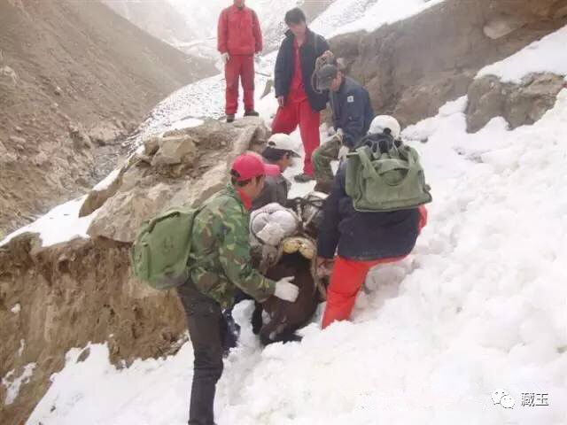 惊险！一个故事告诉你采玉是怎样九死一生的体验