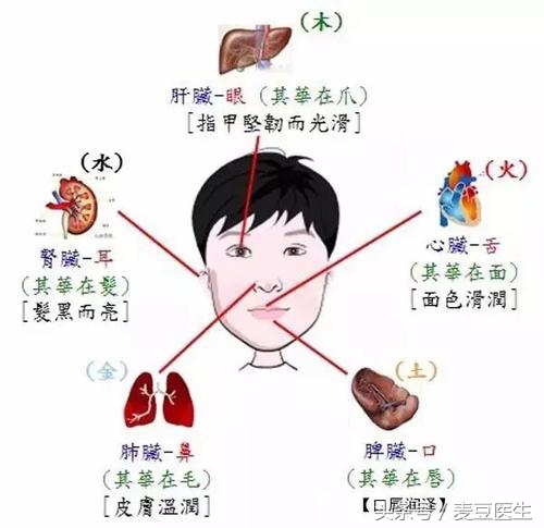 老中医面诊：从脸部五官看疾病 并附5个养生方法