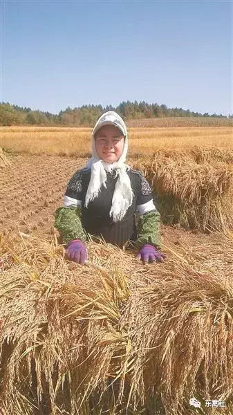 北大才女《卖米》写哭整个朋友圈，但你们知道她是怎样一个人吗？