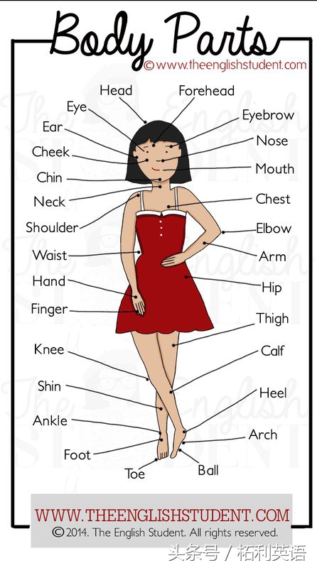英语中最最常用的100个词，几乎每天都会用到，值得人人学习珍藏