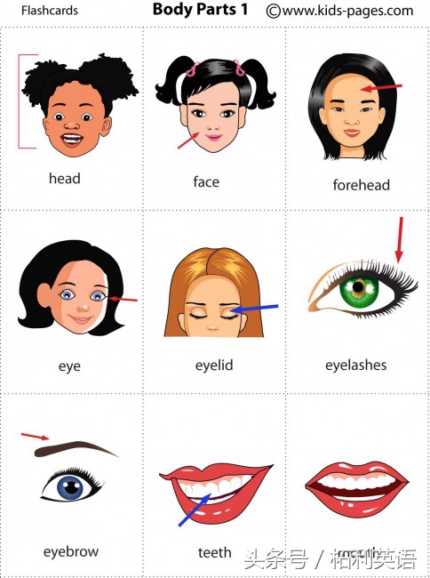 英语中最最常用的100个词，几乎每天都会用到，值得人人学习珍藏