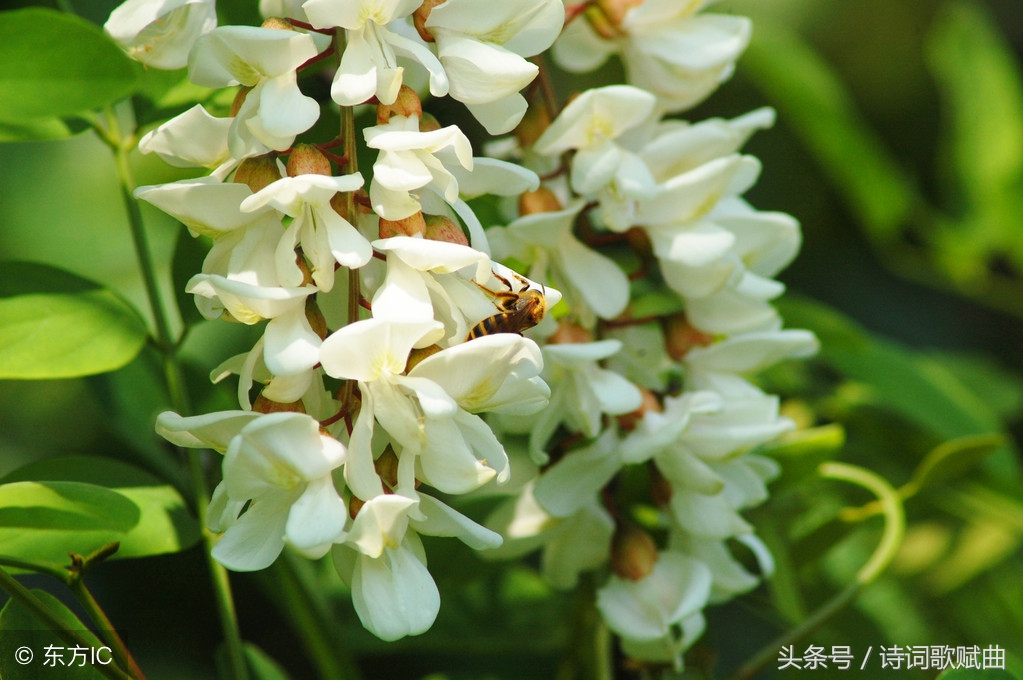 月圆夜才是相思时，写月亮超经典十首诗词，看看你读过几首