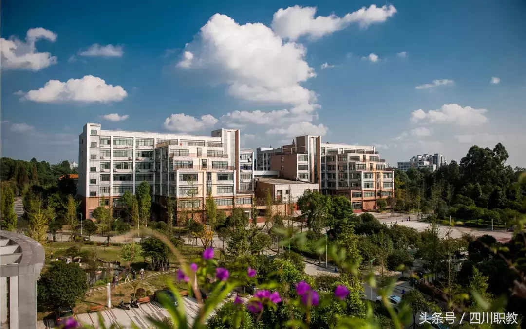 成都这些学校的学生，凭什么就能比别人少读一年就能上大学！