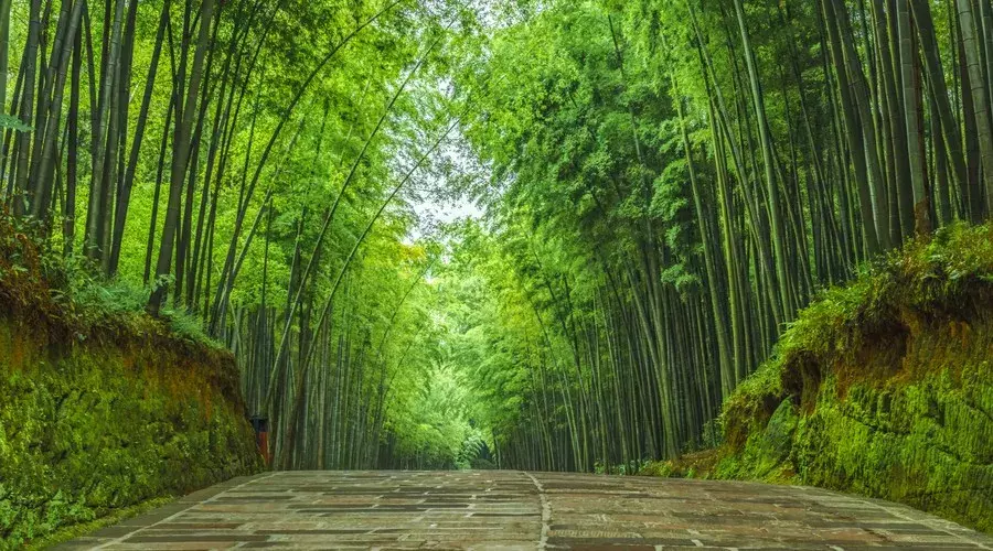 高考来了,18首状元诗词为学子壮行!