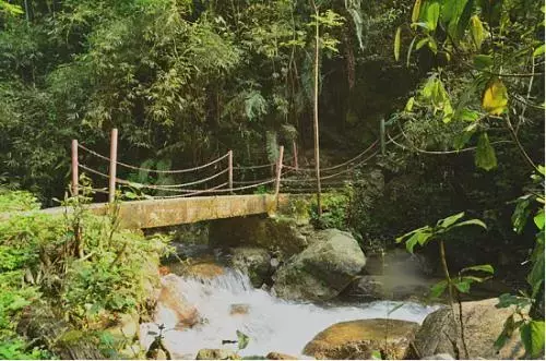 高楼遮不住，青山古韵长