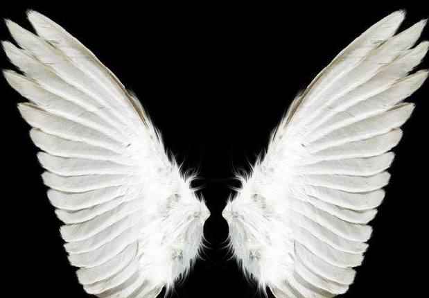 十二星座专属梦幻翅膀,水瓶座冰蓝羽翼,双鱼座美的移不开眼!