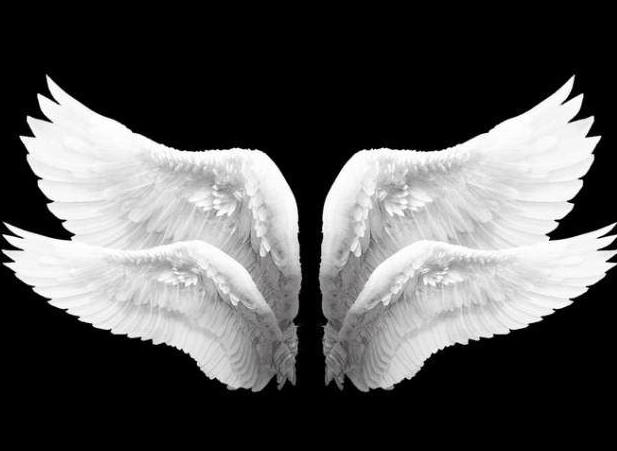 十二星座专属梦幻翅膀,水瓶座冰蓝羽翼,双鱼座美的移不开眼!