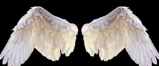 十二星座专属梦幻翅膀,水瓶座冰蓝羽翼,双鱼座美的移不开眼!