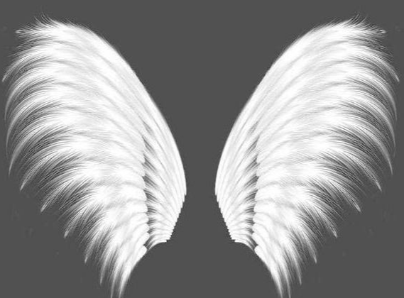 十二星座专属梦幻翅膀,水瓶座冰蓝羽翼,双鱼座美的移不开眼!