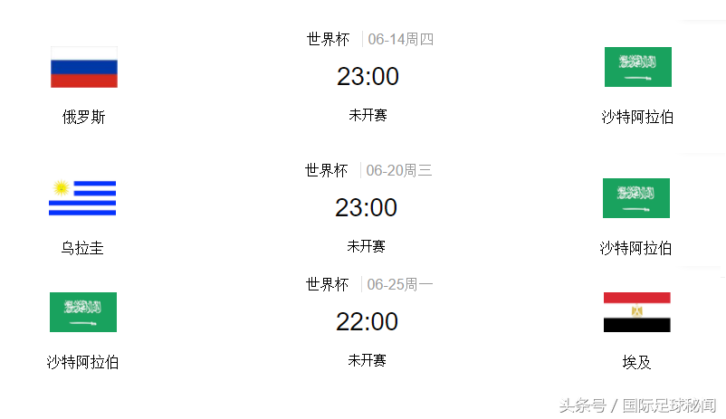 2002世界杯沙特队阵容(世界杯观赛通鉴「A组」沙特：23名球员 主教练高清照和资料)