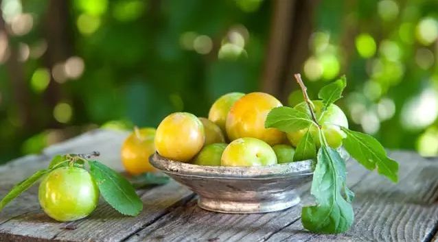 梅子黄时日日晴全诗,梅子熟时日日晴全诗句 - 千梦