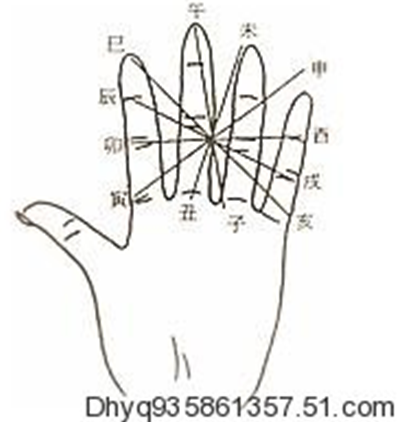 手上掌诀图十二地支六冲掌诀图与生肖时辰六合掌诀图地支的作用