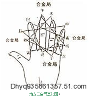 手上掌诀图十二地支六冲掌诀图与生肖时辰六合掌诀图地支的作用