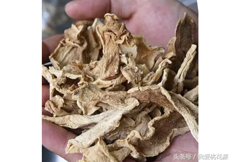 食材界的“孪生”姐妹，你真的能分清吗？