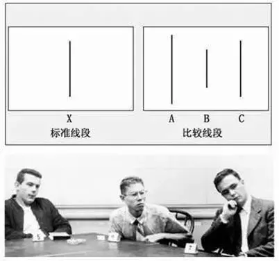 为什么世界杯总是有伪球迷(世界杯“伪球迷”现象的心理解读)