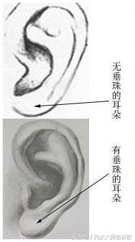 俗话说“三岁看老，七岁看小”耳朵看相之，麻衣相法