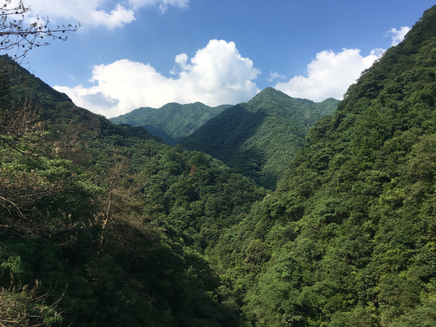 阴宅立命之根，阳宅养命之原—论阴阳宅