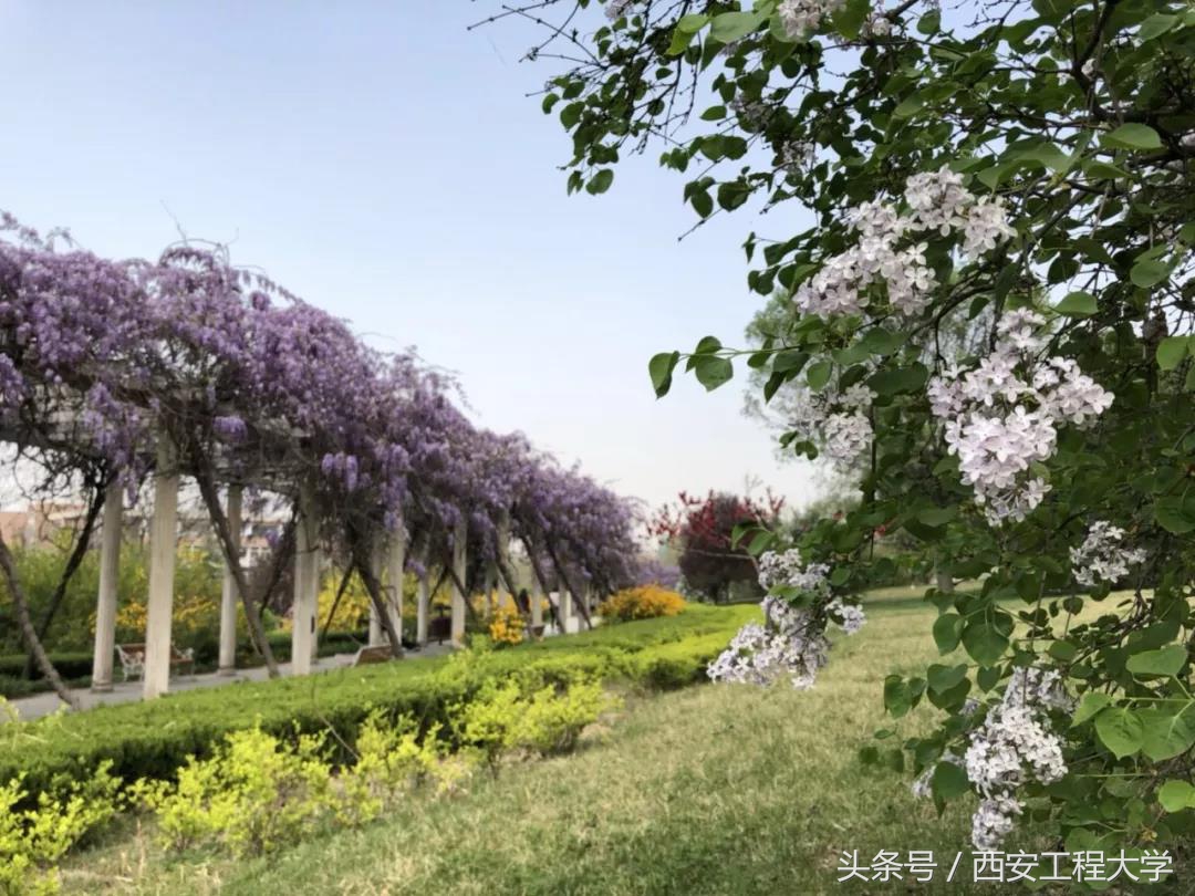 最新！陕西省高水平大学建设高校，再增2个学院！