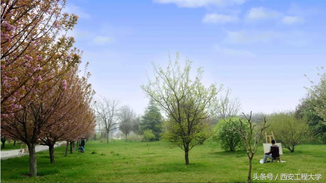 最新！陕西省高水平大学建设高校，再增2个学院！