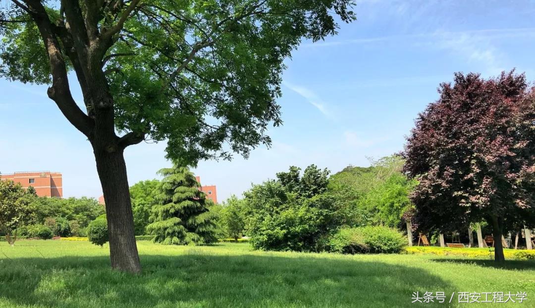 最新！陕西省高水平大学建设高校，再增2个学院！