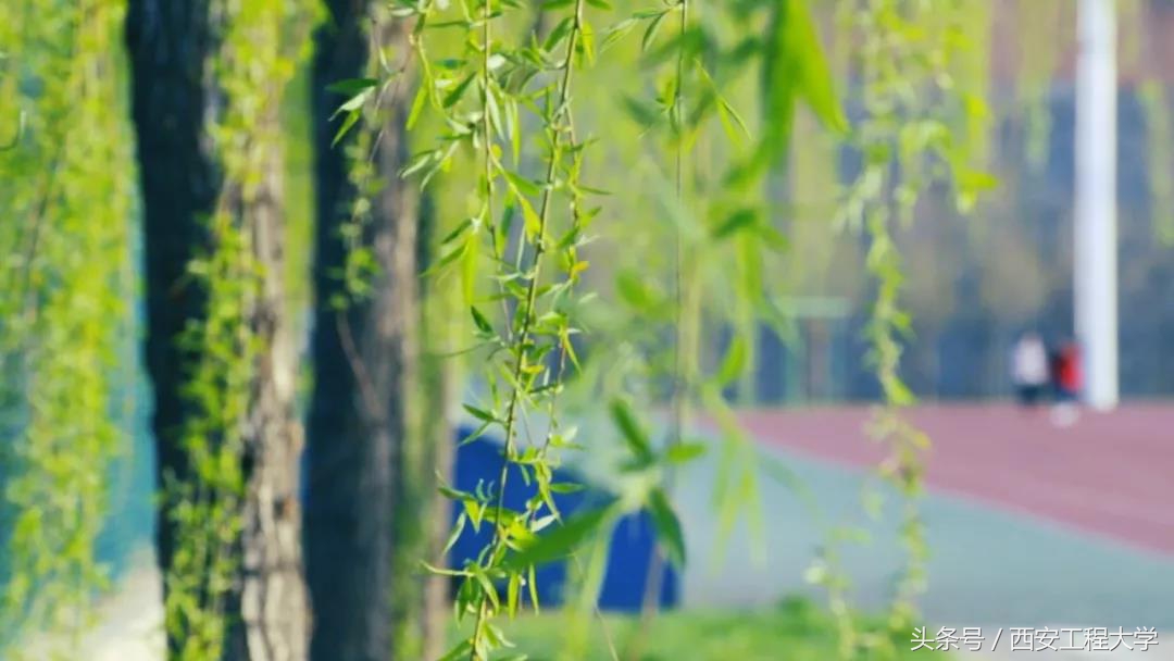 最新！陕西省高水平大学建设高校，再增2个学院！