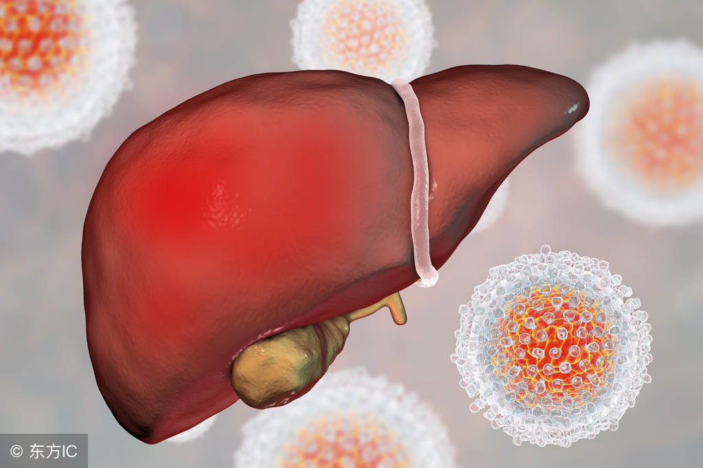 乙肝两对半、肝功常规检查有哪些作用？一篇文章教你轻松看懂
