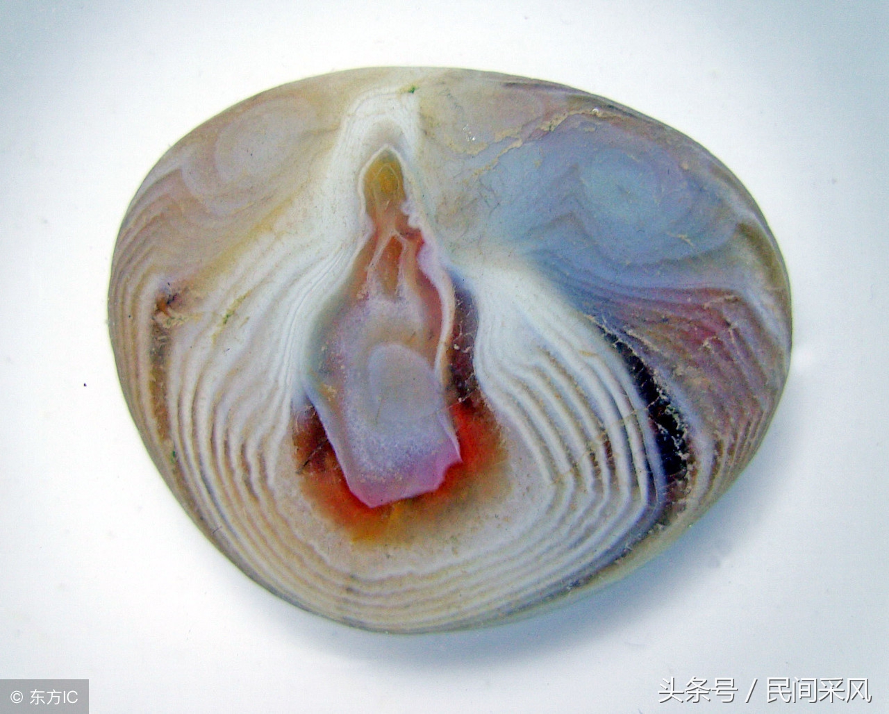 雨花石的故事有哪些 _飞翔号