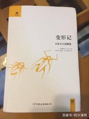 读一本书｜卡夫卡《变形记》摘抄语录