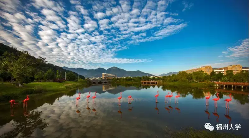 划重点!福建高考分数线出炉,能不能上福大?历年录取情况戳这里