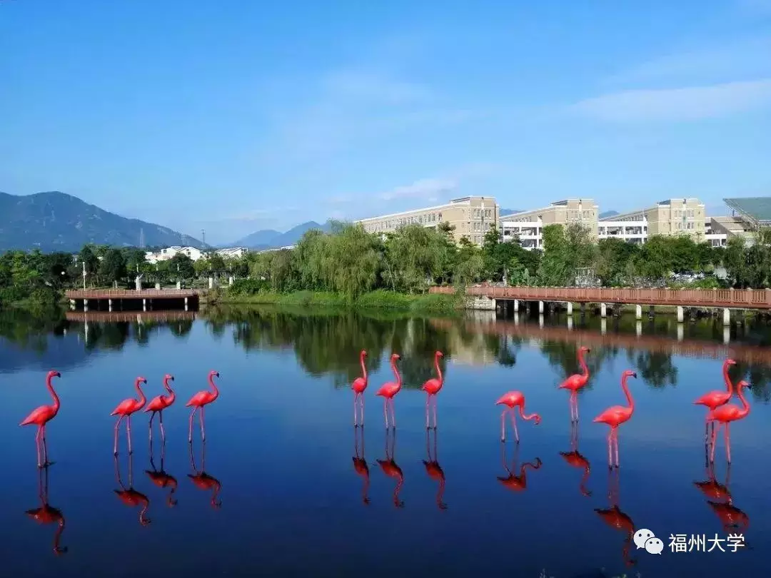 划重点!福建高考分数线出炉,能不能上福大?历年录取情况戳这里