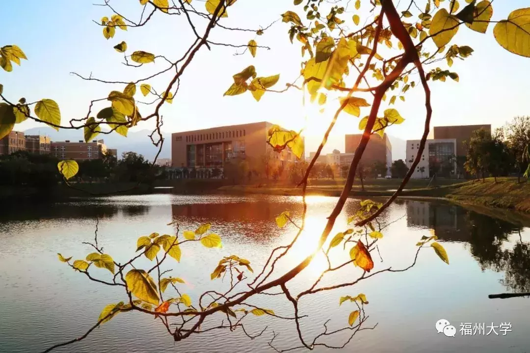 划重点!福建高考分数线出炉,能不能上福大?历年录取情况戳这里