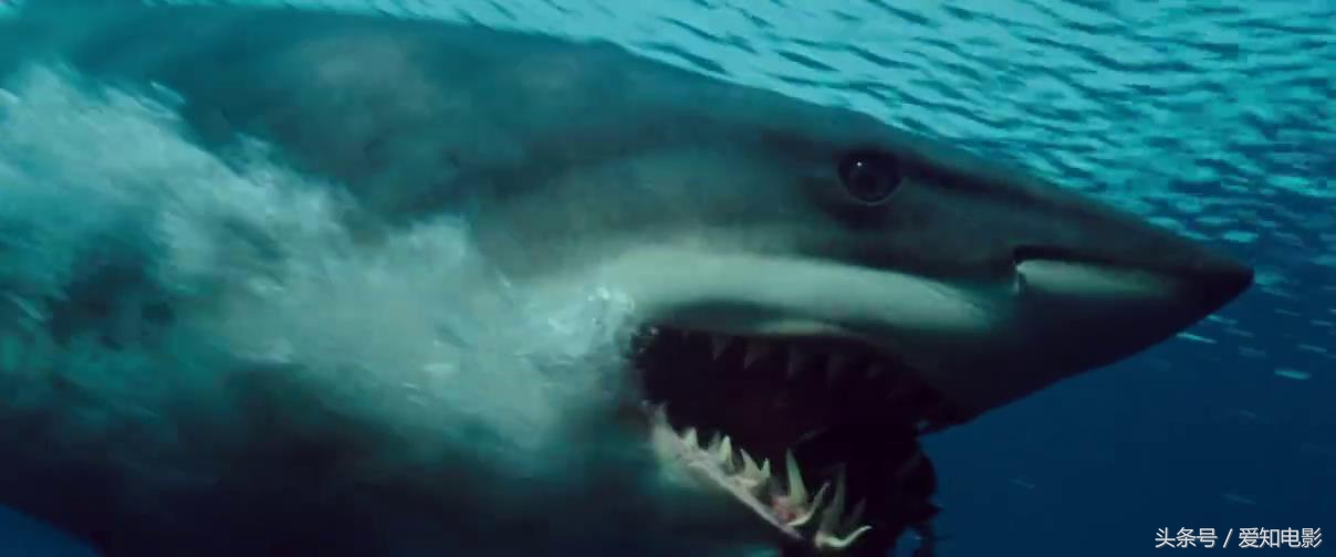 海底实验室的科技怪兽（浅说电影深海狂鲨）