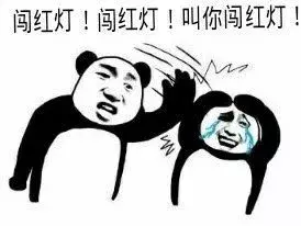 交通安全篇｜安全专栏