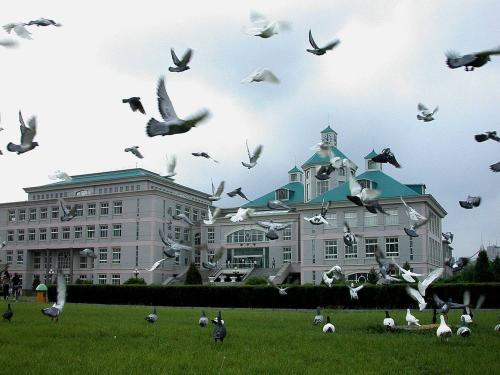 东北的著名高校有很多，但是沈阳大学却很普通