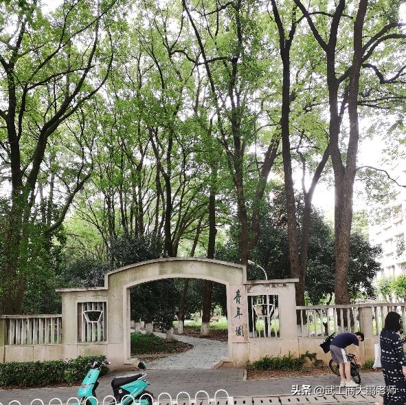 华中科技大学：合并后同济医学地位下滑，如今深度融合，未来可期